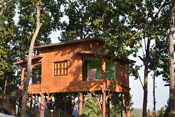 a wooden tree house in the middle of a forest