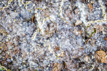 texture of stone