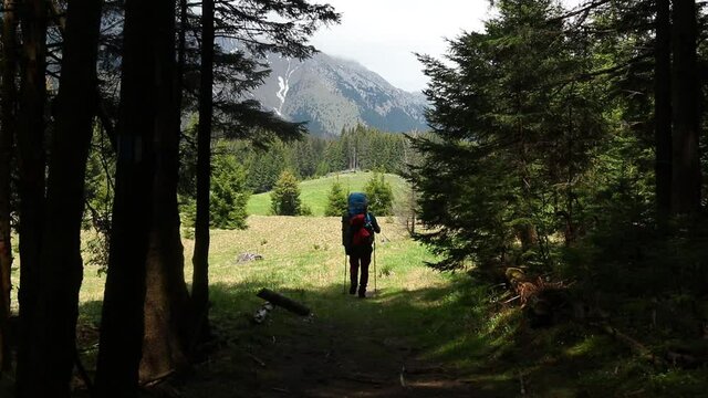 Hiker with a backpack walking through the mountain forest in spring season