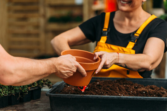 Unrecognizable man transplanting a flower