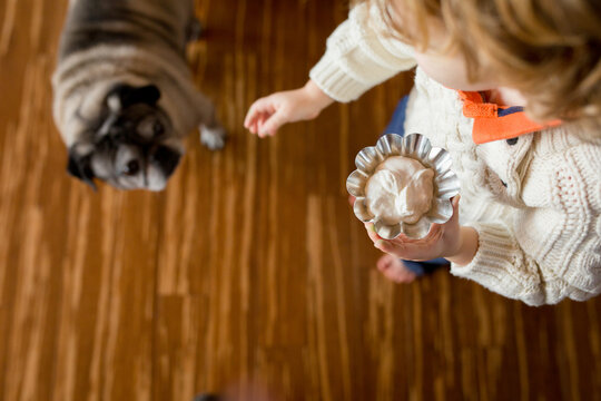 Pug looks up at child holding bowl of frosting