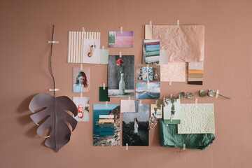 Patel Colour Moodboard on Pink Wall