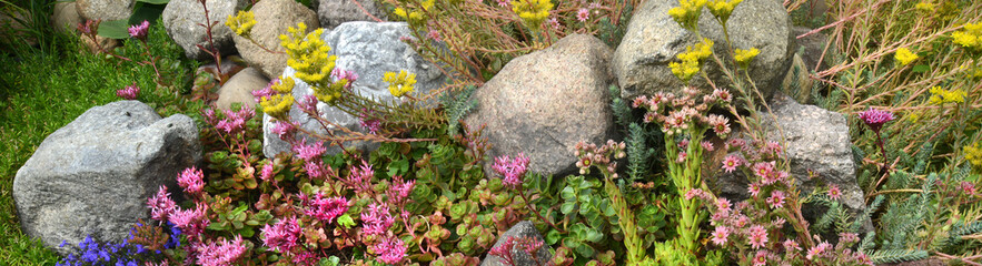 Garten 1183