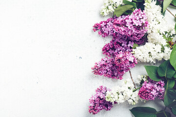 Purple and white lilac flowers.