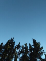 Obraz premium Sin nubes 