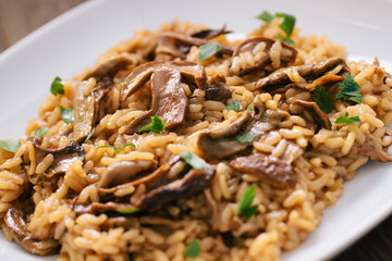 Wild Mushroom Risotto with Parmesan and Parsley