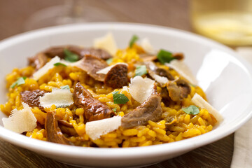 Wild Mushroom Risotto with Parmesan and Parsley