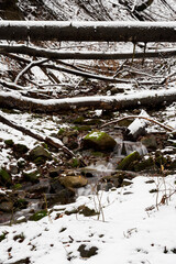 Fallen tree trunks over a flowing thin river in winter.