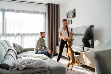 Young couple playing with dog in living roon in sofa