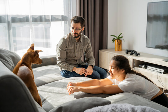 Young couple playing with dog in living roon in sofa