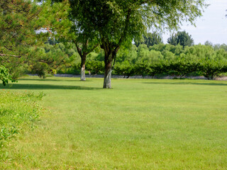 Photo of A view in the park