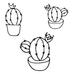 Cactus with flower in a pot hand drawn, home plants, simple flat vector illustration