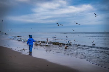 Zelfklevend Fotobehang Heringsdorf, Duitsland Child feeding seagulls on beach