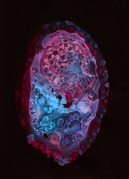 Membrane Bound, a watercolor and gouache painting of an artistic representation of a single cell.