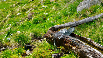 Sommer im Südtirol