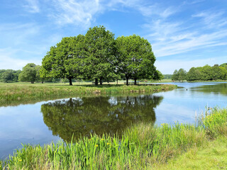 A view of the lake at Tatton Park in Cheshire on a sunny day