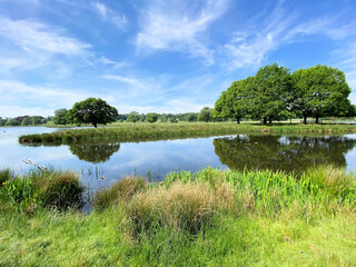 A view of the lake at Tatton Park in Cheshire on a sunny day