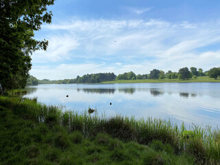 A view of the lake at Tatton Park in Cheshire on a sunny day