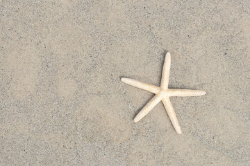 Starfish on the beach with copy space top view. Concept summer season on tropical beach