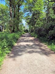 Fototapeta premium A view of the Cheshire Countryside at Tatton Park