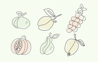 A set of fruits drawn by one line. Black outline and colored spots. Line art style. Vector graphics. Isolated background.
