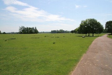 Fototapeta na wymiar A view of the Cheshire Countryside at Tatton Park