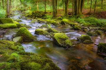 Die Saußbachklamm in Waldkirchen ist ein Naturschutzgebiet.