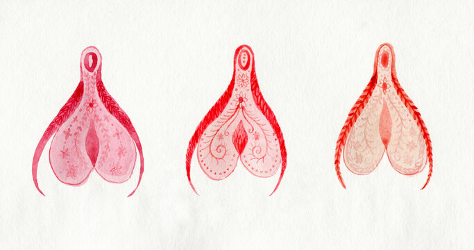 Decorative clitoris