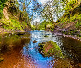 A view down Carnock Burn from the gorge at Finnich Glen, Scotland on a summers day