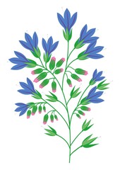 comfrey. garden bell. blue meadow, field, forest flowers. inflorescence. bouquet. stems. color isolated drawing by hand. vertical cover. a4. postcard, print.