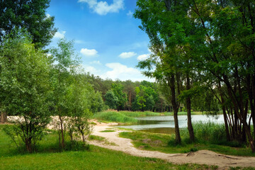 Fototapeta na wymiar The lake in the park. A green meadow in the middle of the park. Beautiful deciduous forest. A place for family outdoor activities and fishing. Recreation zone. Empty space for your text or design. 
