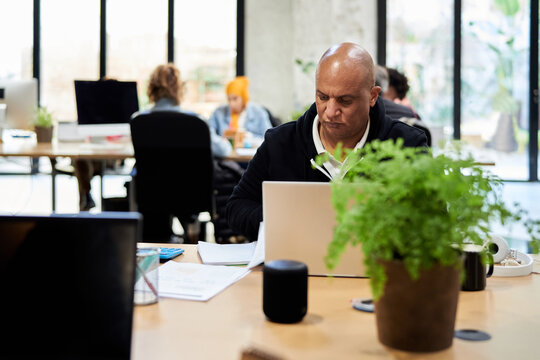 Financial analyst in coworking center