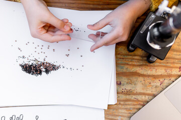 kid Girl Looking seeds Through A School Microscope In Her Home
