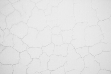 A black and white image of a plastered wall covered in crooked, curved cracks. Vignetting. Image for texture, background. Copy space.