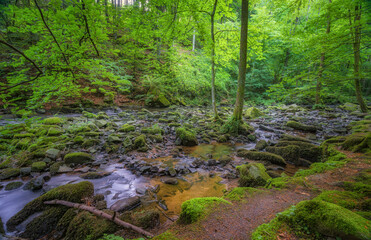 Die Saußbachklamm in Waldkirchen ist ein Naturschutzgebiet.