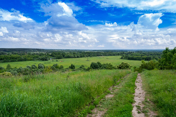Fototapeta na wymiar landscape with green meadows and blue sky