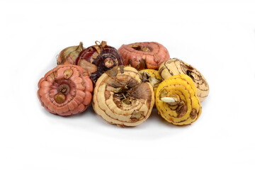 Bulbs of gladiolus flower isolated on white background