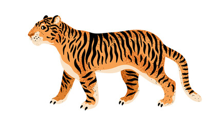 Wild tiger isolated on white background. Exotic cartoon animal with stripy coat. Predator animal vector illustration in flat style. Endangered species. 