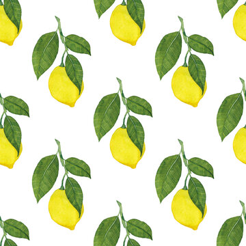 Watercolor seamless pattern with lemons. Creative summer print with fruit for any purposes.	