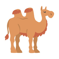 Cute Camel African Animal, Wild Herbivore Jungle Animal Cartoon Vector Illustration