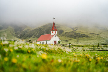 Typical Rural Icelandic Church with red roof in Vik region. Iceland. Blossom flower and foliage in...