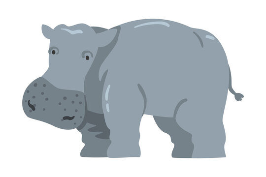 Cute Hippopotamus African Animal, Wild Herbivore Jungle Animal Cartoon Vector Illustration