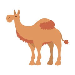 Cute Dromedary African Animal, Camel Herbivore Jungle Animal Cartoon Vector Illustration