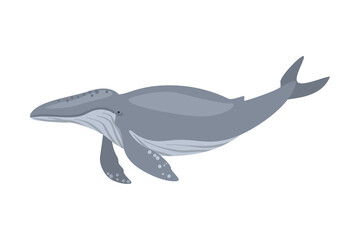 Whale Sea Arctic Animal, Wild Polar Marine Mammal Cartoon Vector Illustration