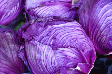 Obraz premium Purple cabbages stacked at a farmers' market. Cabbage on the market background. Fresh cabbage from farm field. Close up macro view of purple cabbages. Vegetarian food concept. Brassica oleracea 