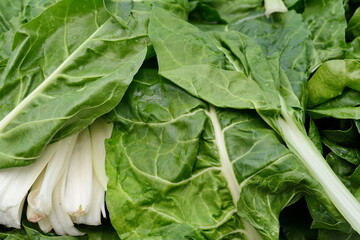 Chard. Mangold Beta vulgaris. Biennial herb, a subspecies of common beet. Fortified green lettuce leaves. Vegetarian or healthy food. Washed chard. 