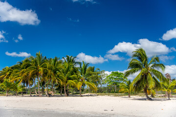 Fototapeta na wymiar The Famous Playa Larga in Cuba