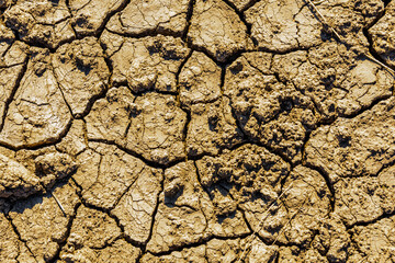 Background of the cracked dry barren soil. Global warming concept