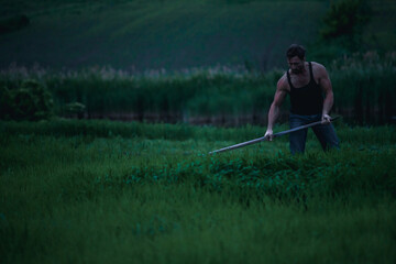 Adult farmer working with scythe while harvesting grass in morning in field