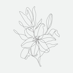 Vector Flower mono-line  illustration. Contemporary art drawing.